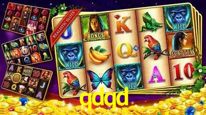 A Experiência Imersiva dos Cassinos Ao Vivo no qdqd